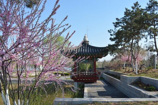 韓國(guó)園