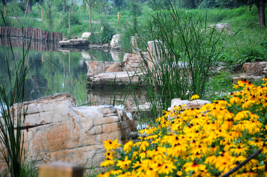 公園