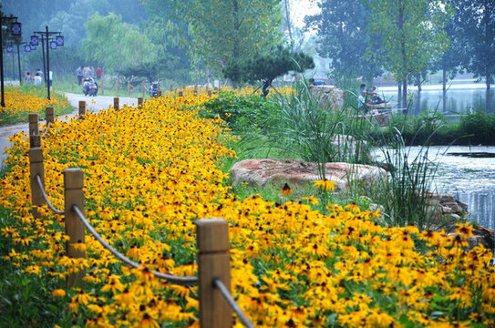 公園 鮮花