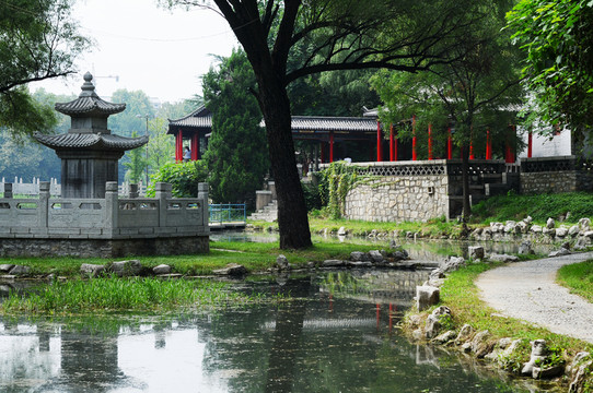 濕地公園