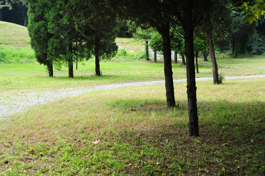 公園綠化