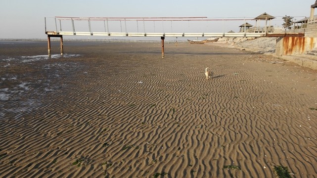 劉家灣趕海園