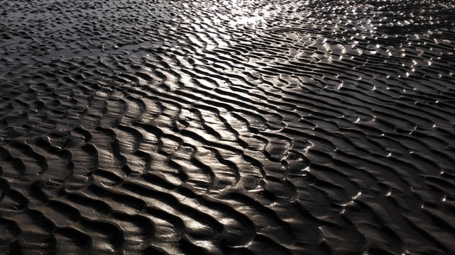 劉家灣趕海園