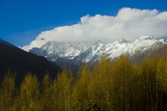 四姑娘山