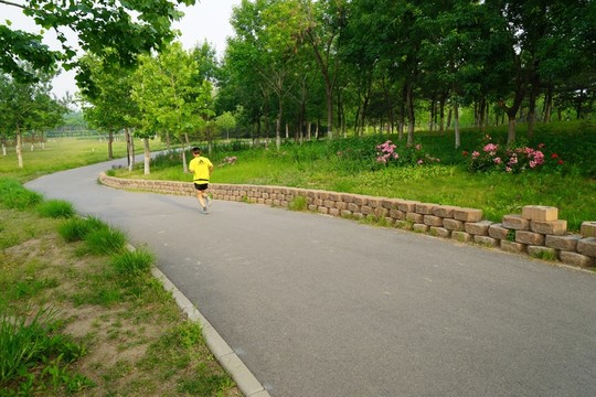 公園