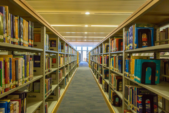 圖書館書籍