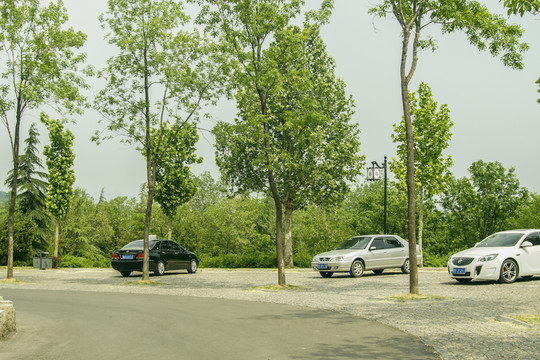 景區(qū)停車場