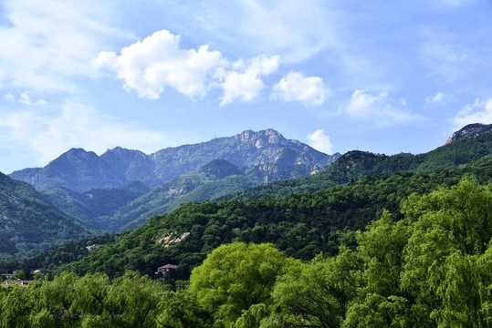 大山流云