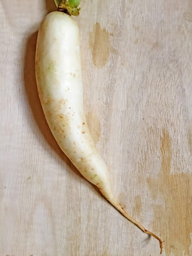 蘿卜