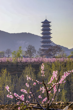 寶塔桃花
