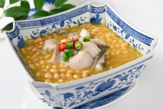 豆嘴雪花魚