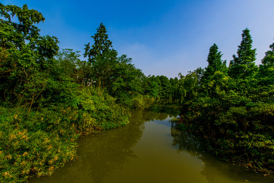 浣花溪公園