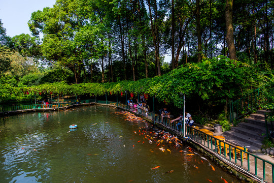 浣花溪公園