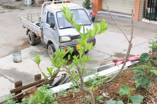 素材