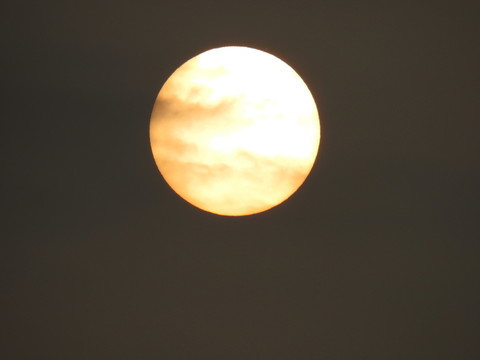 太陽