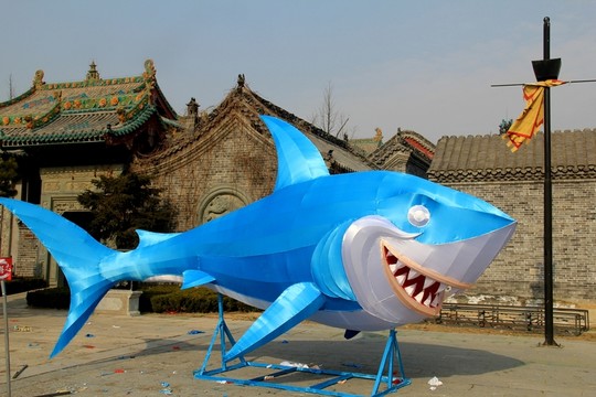 鯊魚