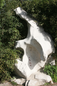 奇石 太湖石 景觀 石 園林