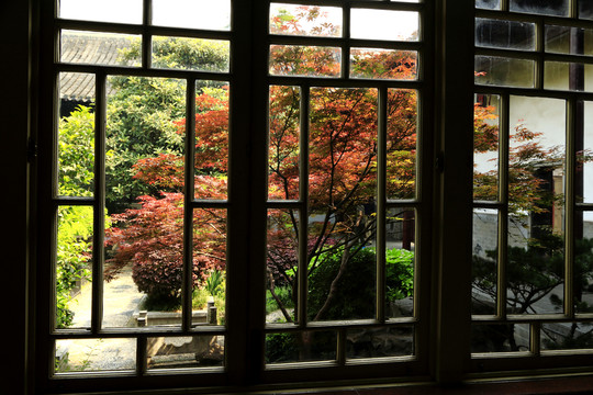 窗外紅葉