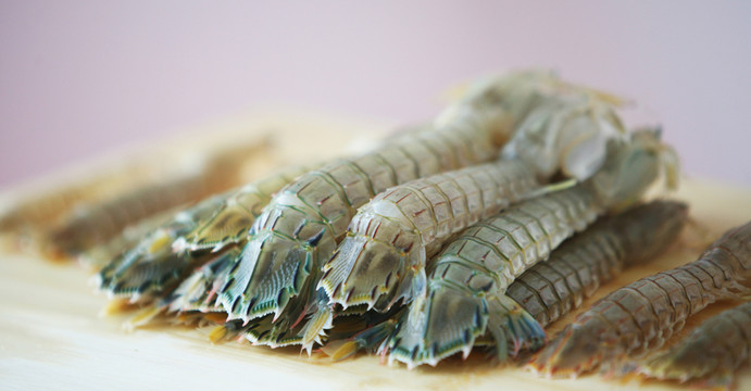 瀨尿蝦 海鮮 蝦 蝦菇 美食