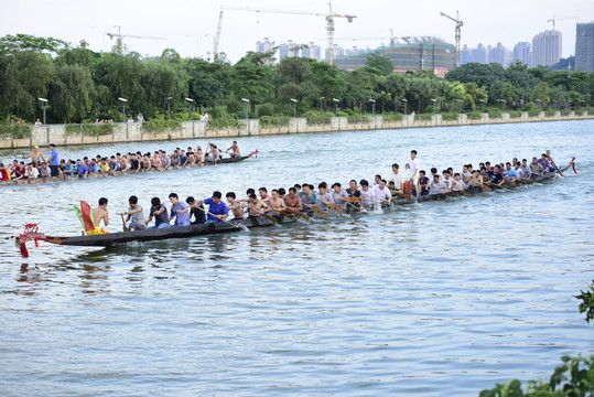 龍舟賽 扒龍舟