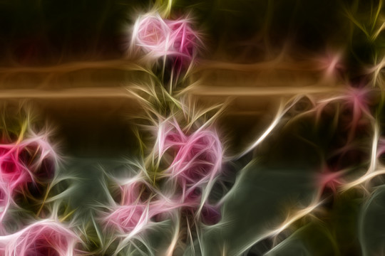 桃花