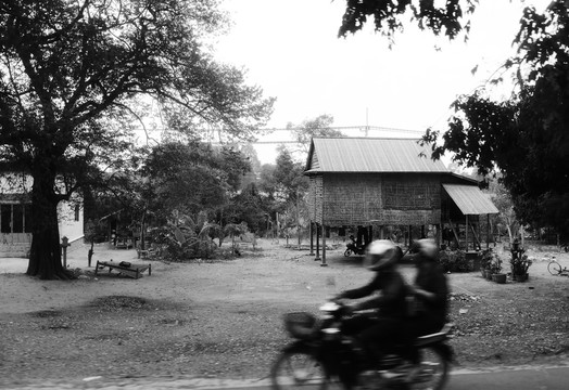 熱帶叢林