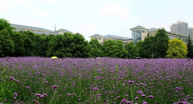 重慶 師范大學(xué)