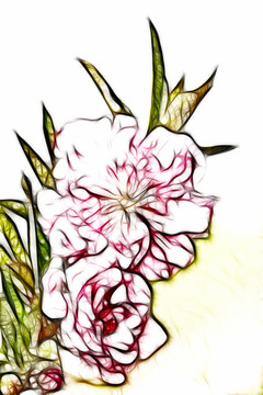 桃花