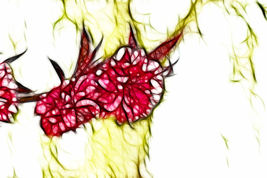 桃花盛開