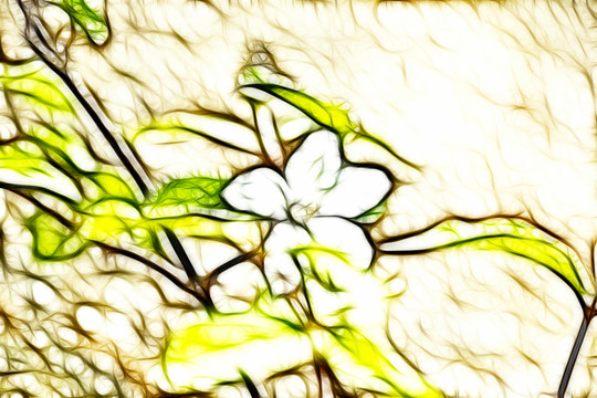 大花溲疏裝飾畫