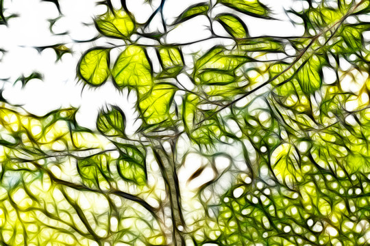枝葉抽象畫(huà)
