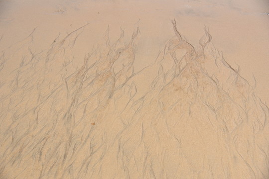 流沙紋理