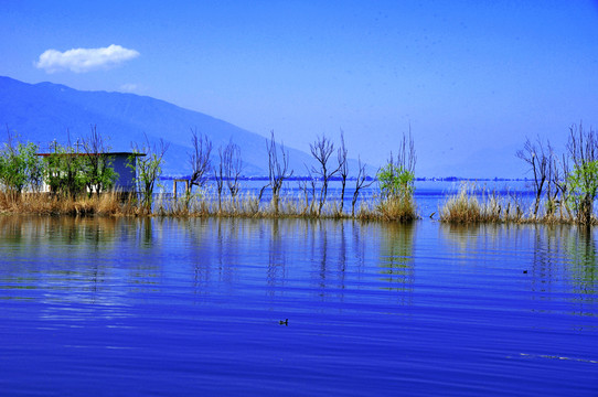 水岸邊美景