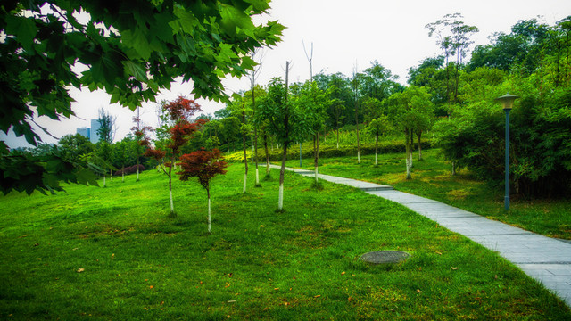 錦城公園
