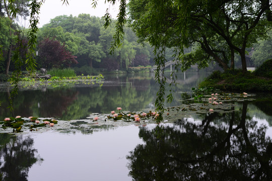 西湖風(fēng)景區(qū)