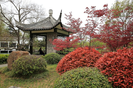 云龍公園