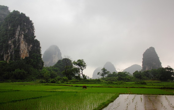 奇峰鎮(zhèn)