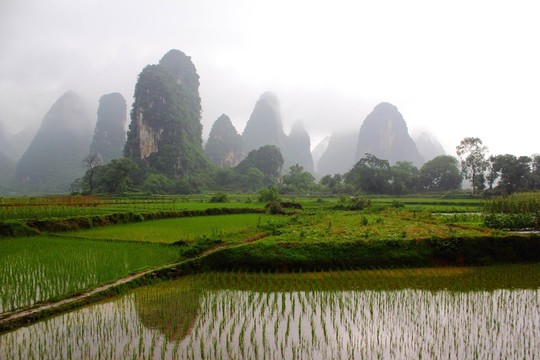 奇峰鎮(zhèn)