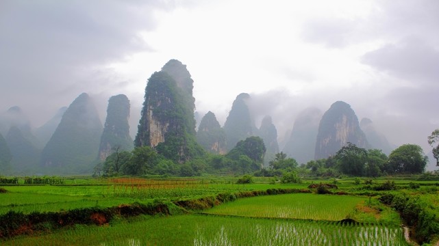 奇峰鎮(zhèn)雨后