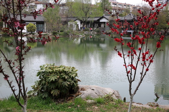 云龍公園