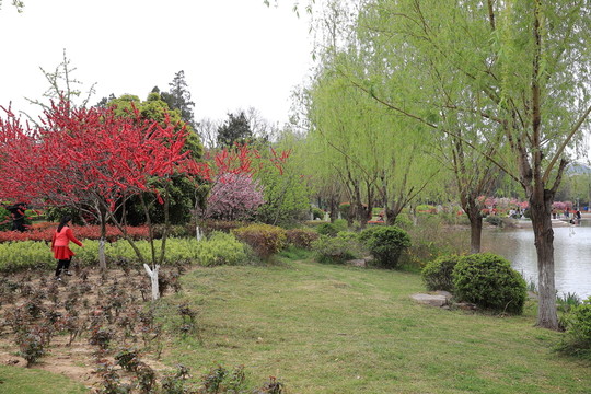 云龍公園