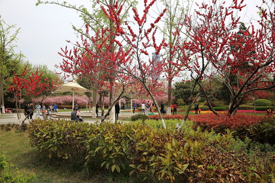 云龍公園