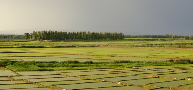 田園風(fēng)光