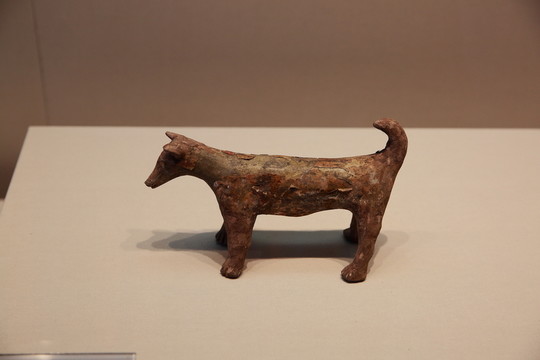 陶狗