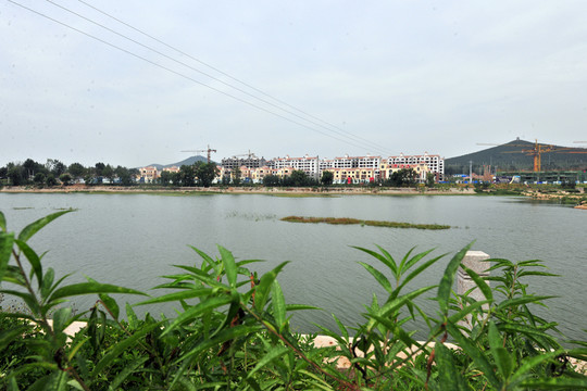 河岸風景