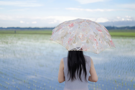 背影