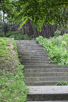 臺(tái)階林蔭路