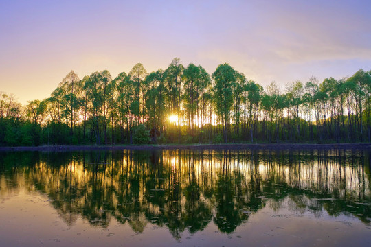 夕陽下的湖泊樹林