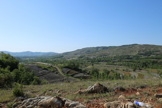 田野