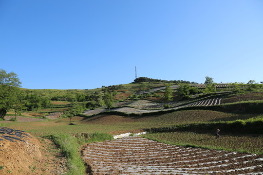田園風(fēng)光